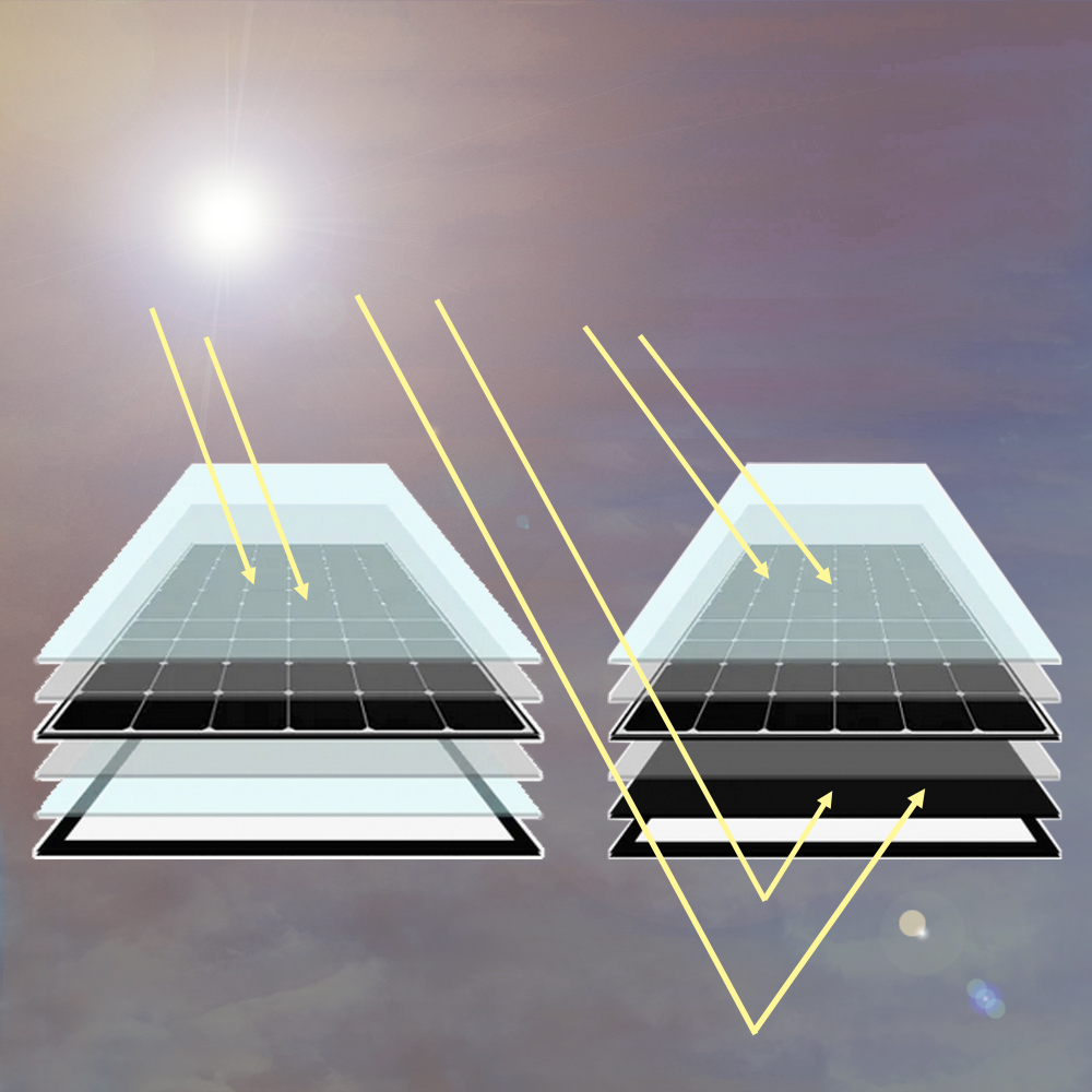 Jolywood Bifaziales Solarmodul 385Wp Glas-Glas Photovoltaik Modul - 0% MwSt. - ZUM VERSAND