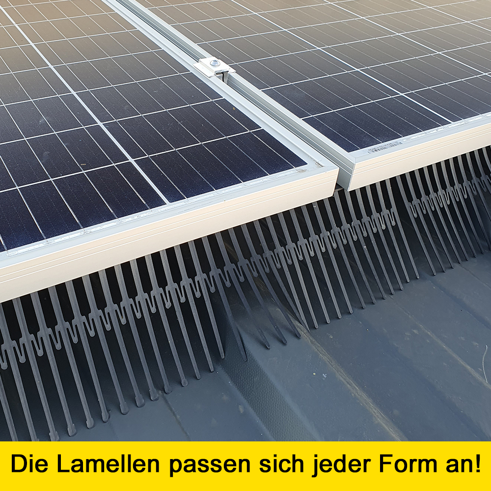 Birdstop Kunstoffclip - Zubehör Vogelschutz für Solaranlagen – Marderschutz für PV-Module & Dach